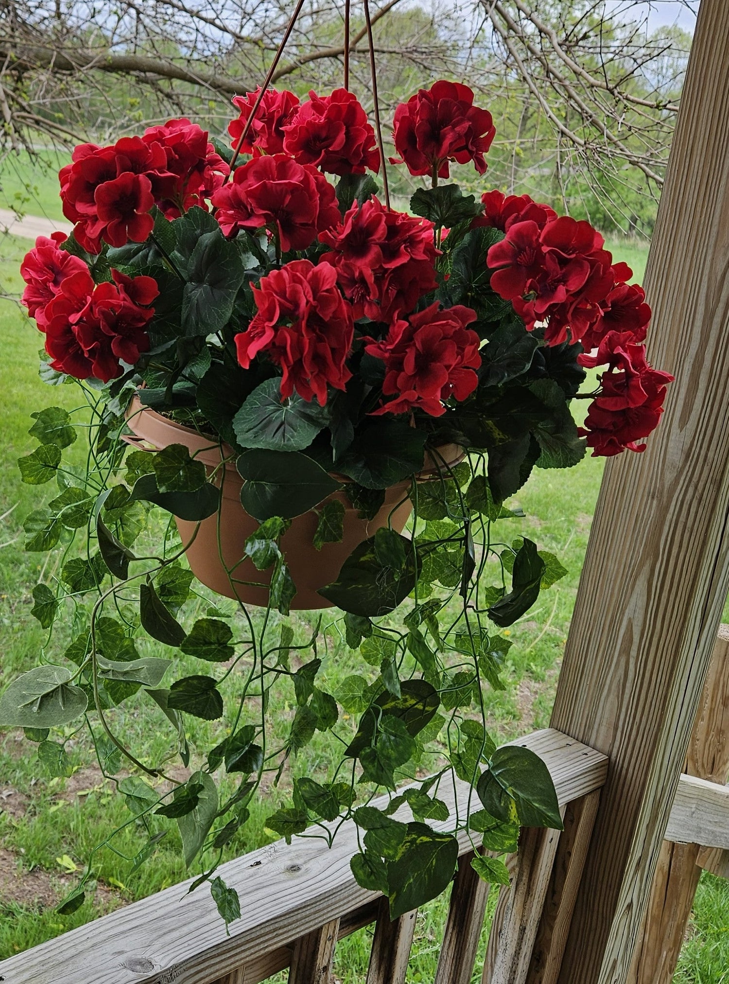 Hanging Baskets