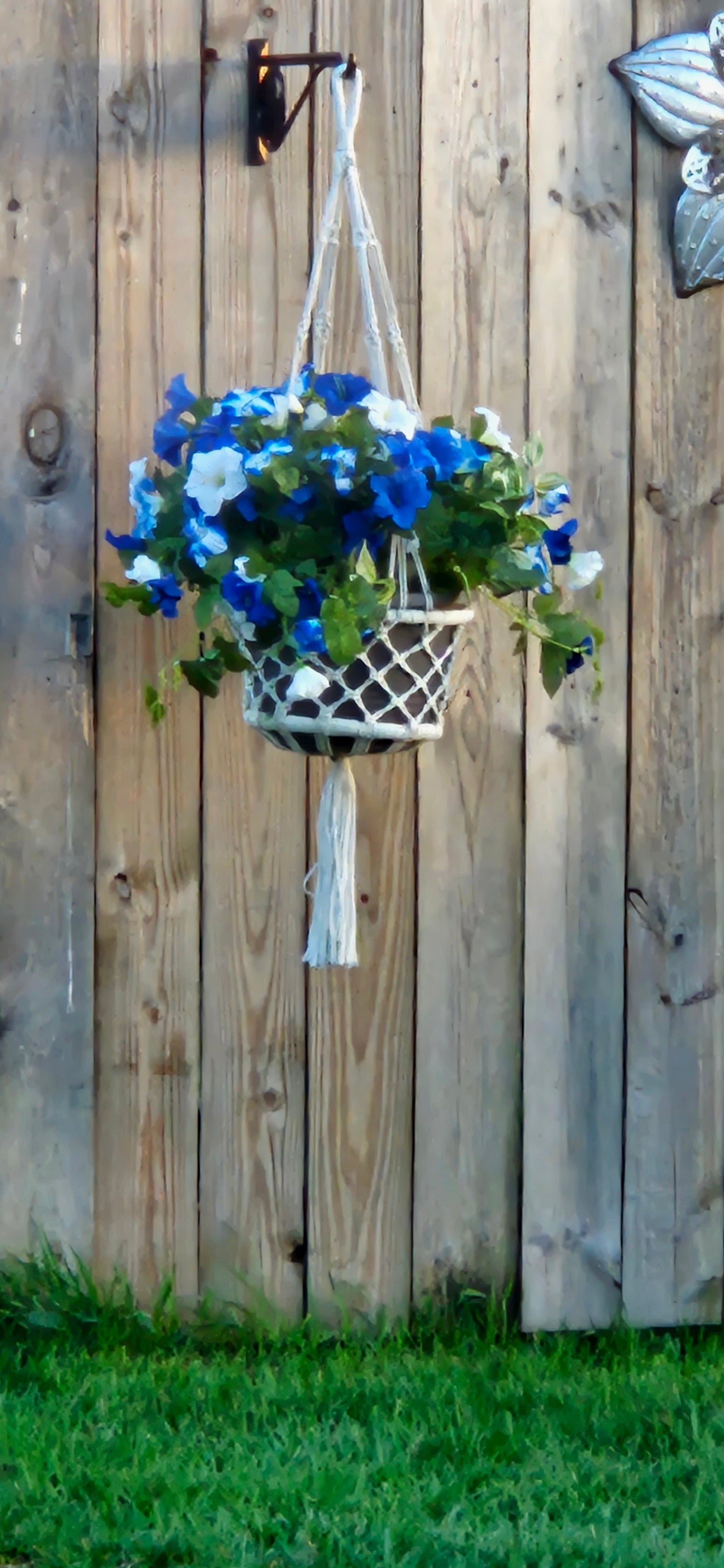 Blue and White Petunia hanging Basket